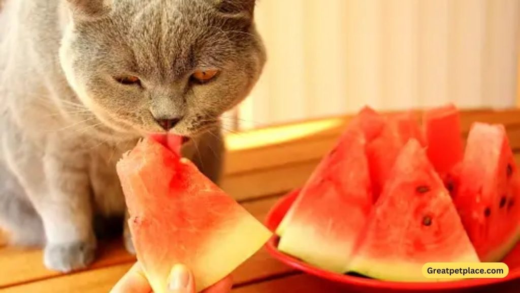 Best-Fruit-Themed-Cat-Names