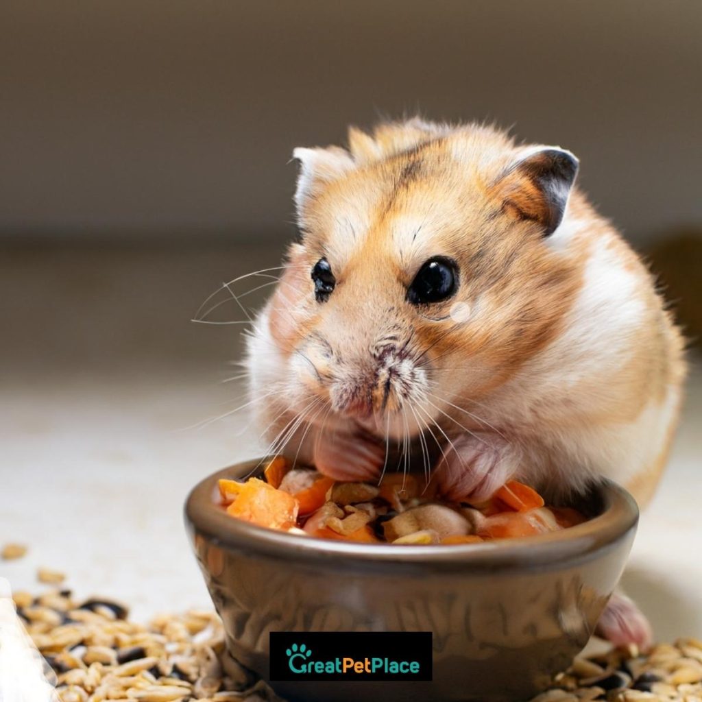 Cute-Earthy-Hamster-Names