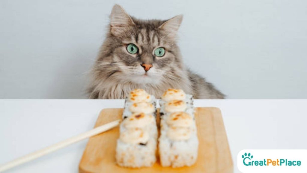 Cool-Asian-Food-Inspired-Cat-Names