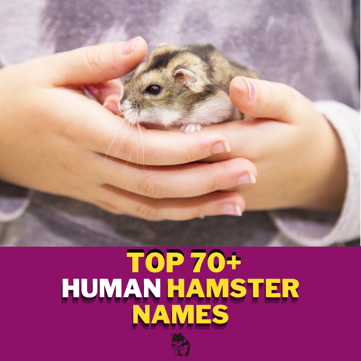 Human Hamster Names With Meaning Our Top 70 Picks