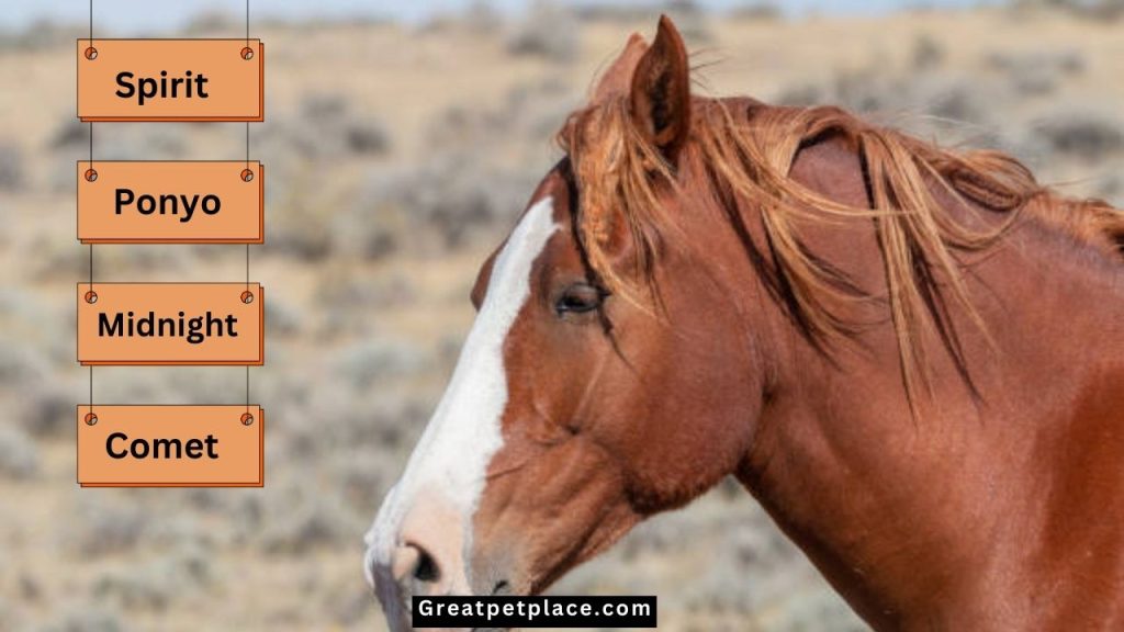 Cool-Mustang-Horse-Names.