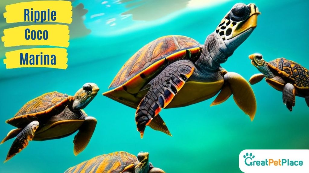 Famous-Sea-Turtle-Names