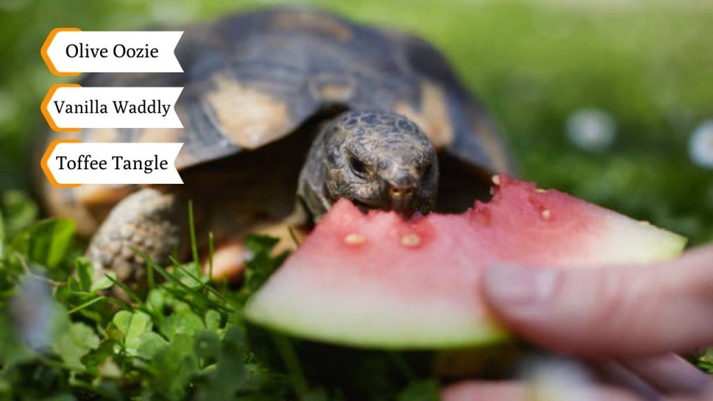 Food-Inspired Silly Turtle Names