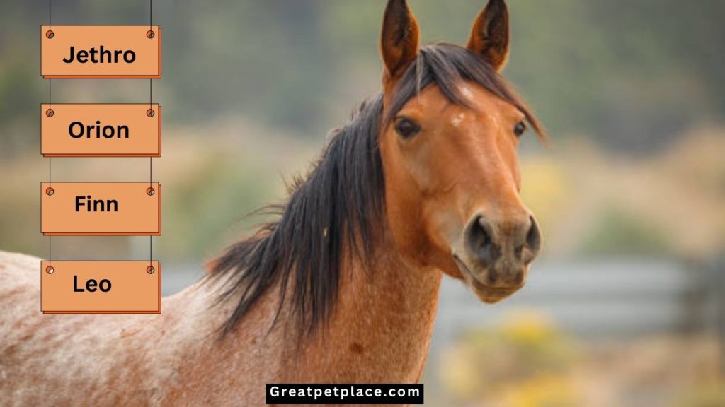 Male-Mustang-Horse-Names.