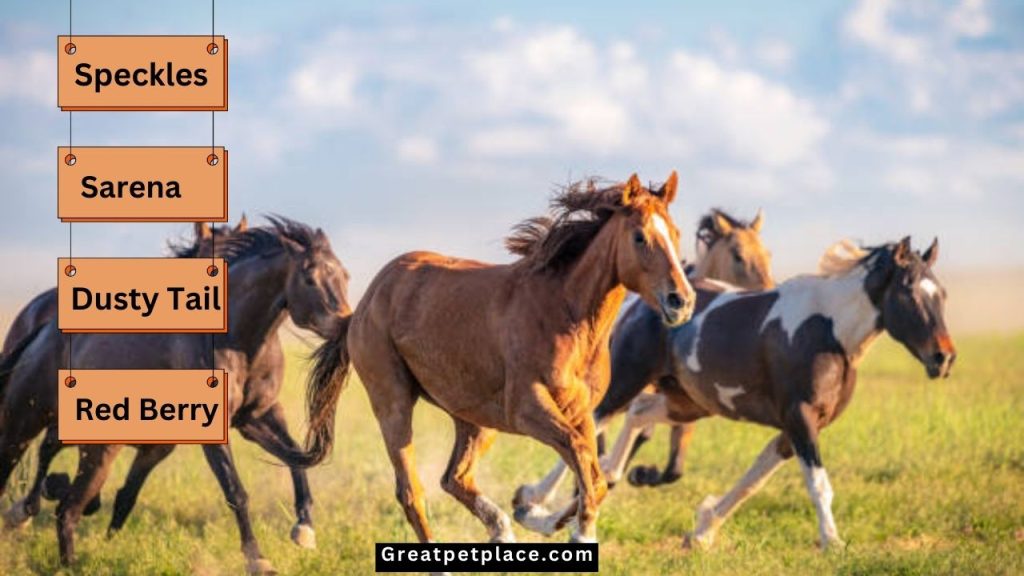 Wild-Mustang-Horse-Names.