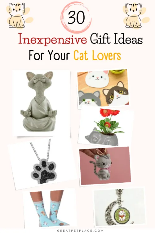 Inexpensive Gift Ideas for Cat Lovers 