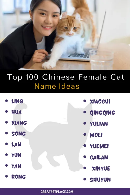 Top 100 Chinese female cat names 