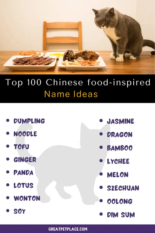 Top 100 Chinese food-inspired cat names