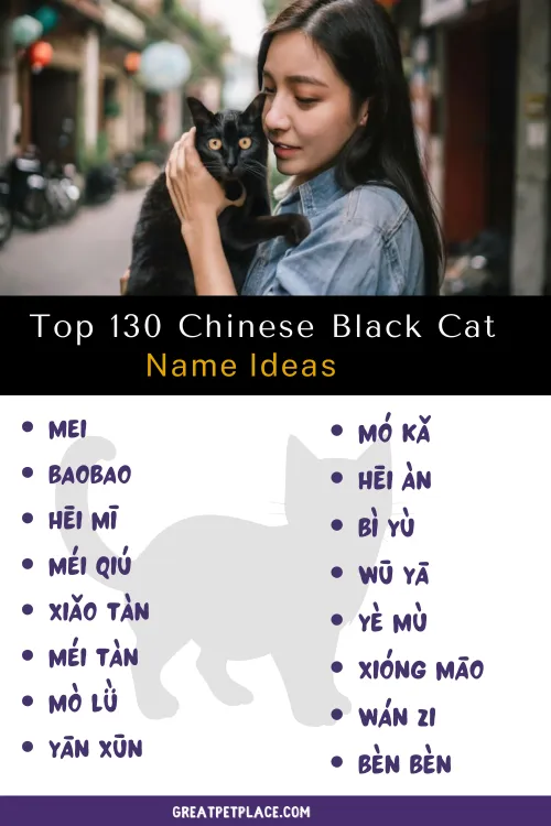 Chinese black Cat Names
