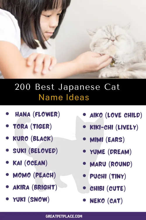 200 Best Japanese Cat Names 
