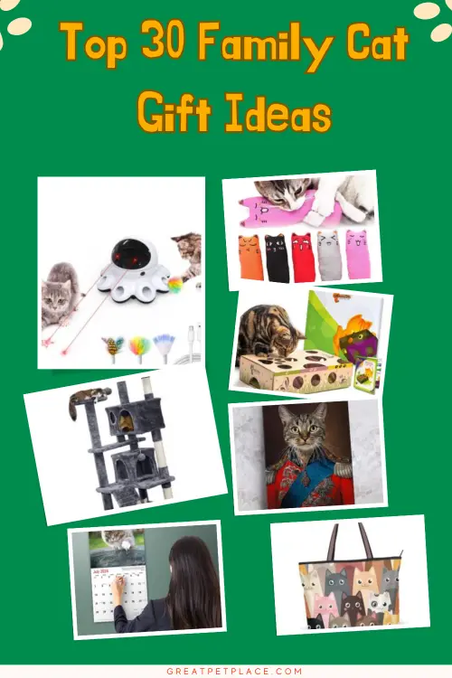 Top 30 Family Cat Gift Ideas