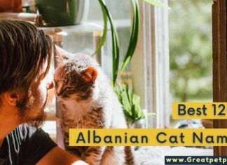 Albanian Cat Names