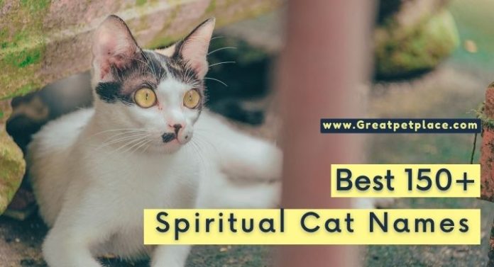 Spiritual Cat Names