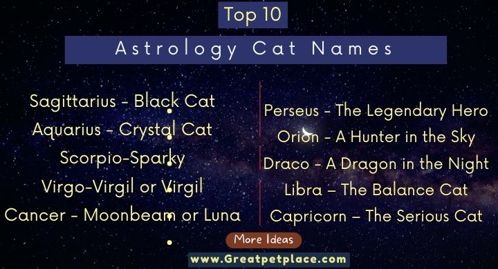 Cat Names Inspired by Astrology