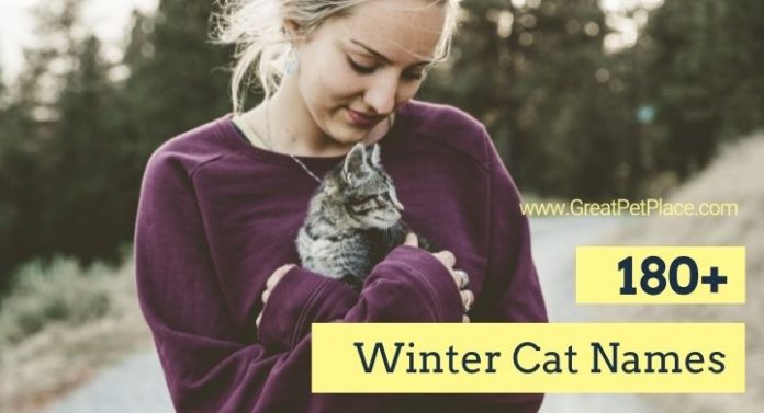 Winter Cat Names