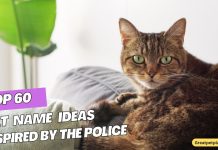 ATTACHMENT DETAILS Top-60-Cat-Name-Ideas-Inspired-by-the-Police