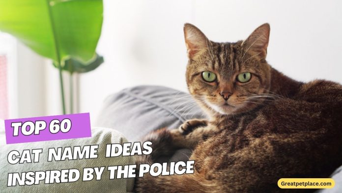 ATTACHMENT DETAILS Top-60-Cat-Name-Ideas-Inspired-by-the-Police