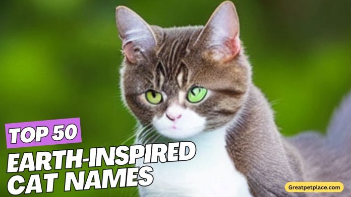 Top-50-Earth-Inspired-cat-Names