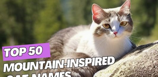 Top-50-Mountain-Inspired-Cat-Names