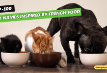 Cat-Names-Inspired-by-French-Food