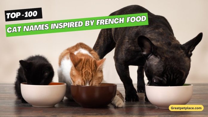 Cat-Names-Inspired-by-French-Food
