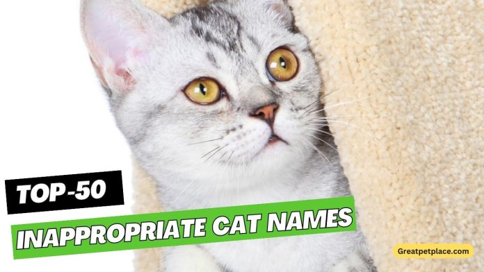 ATTACHMENT DETAILS Inappropriate-Cat-Names-–-Our-Top-50-Picks.