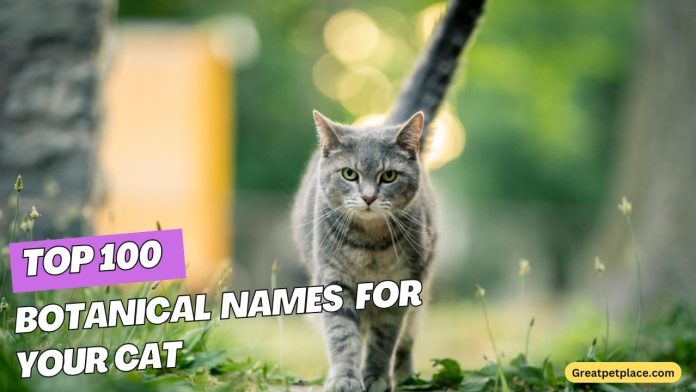 The-Top-100-Botanical-Names-for-Your-Cat