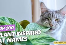 Top-100-Plant-Inspired-Cat-Names