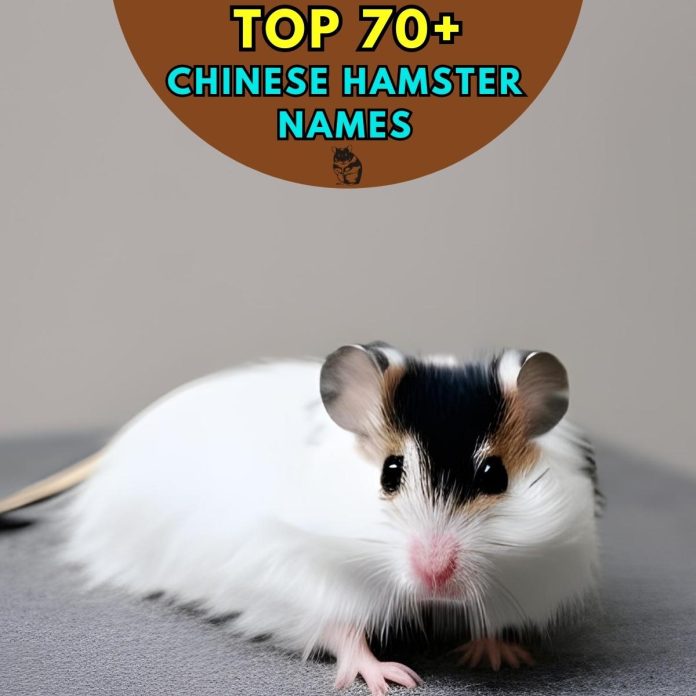 Chinese-Hamster-Names