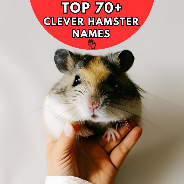 Clever-Hamster-Names