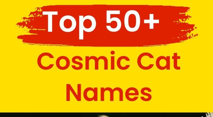 Cosmic-Cat-Names