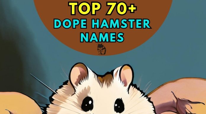 Dope-Hamster-Names