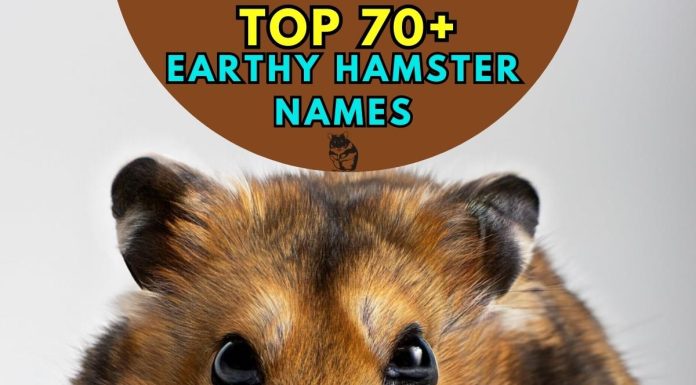 Earthy-Hamster-Names