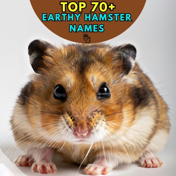 Earthy-Hamster-Names