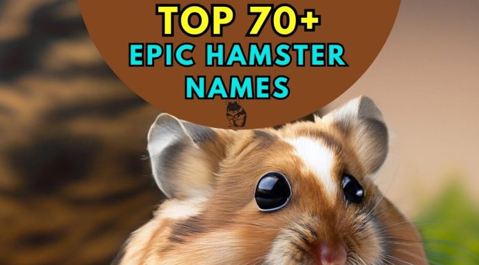 Epic-Hamster-Names