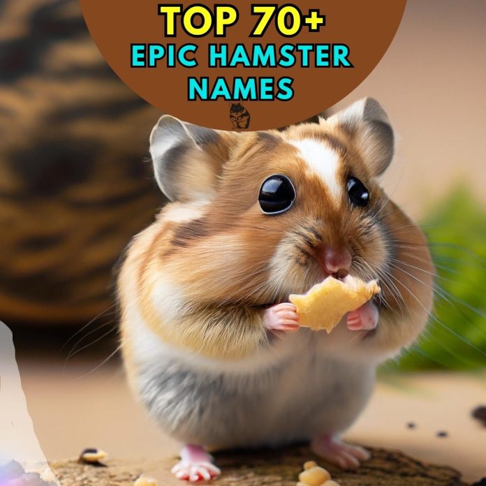 Epic-Hamster-Names