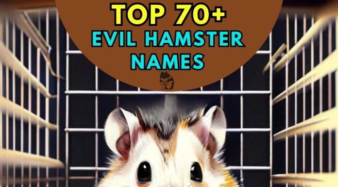 Evil-Hamster-Names-