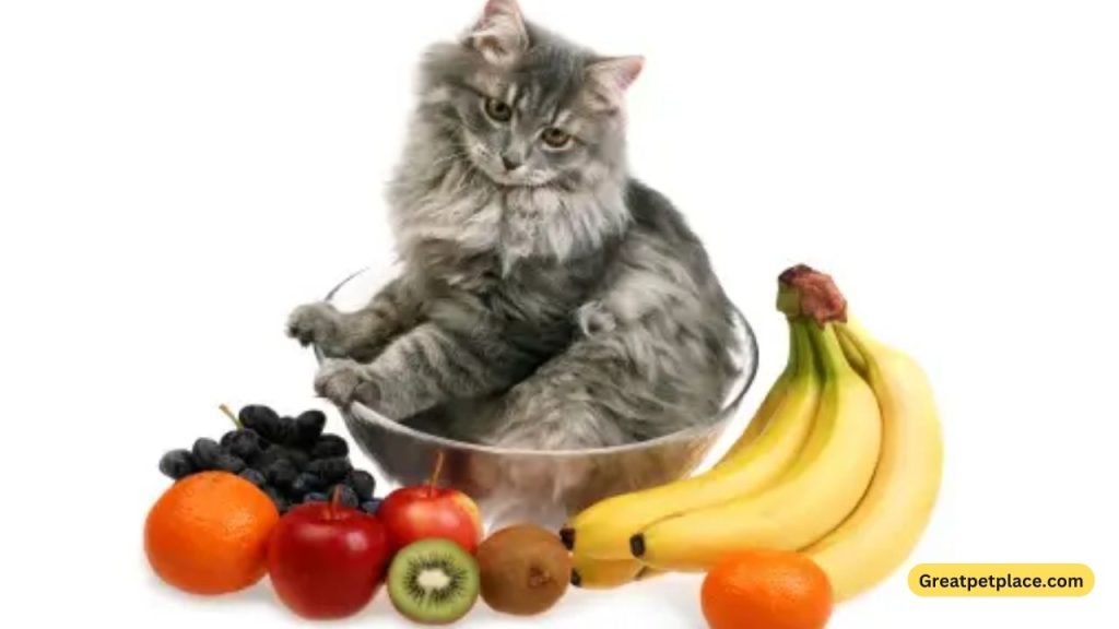 
Fruit-Inspired-Cat-Names-–-Our-Top-100-Favorites