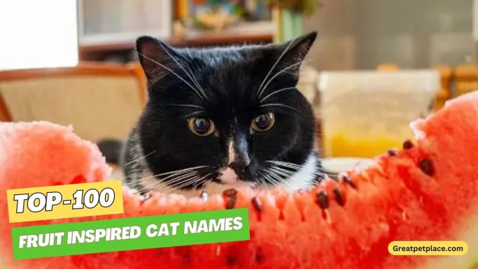 Fruit-Inspired-Cat-Names-–-Our-Top-100-Favorites