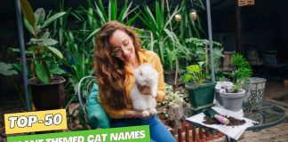 Plant-Themed-Cat-Names-–-Our-Top-50-Favorites