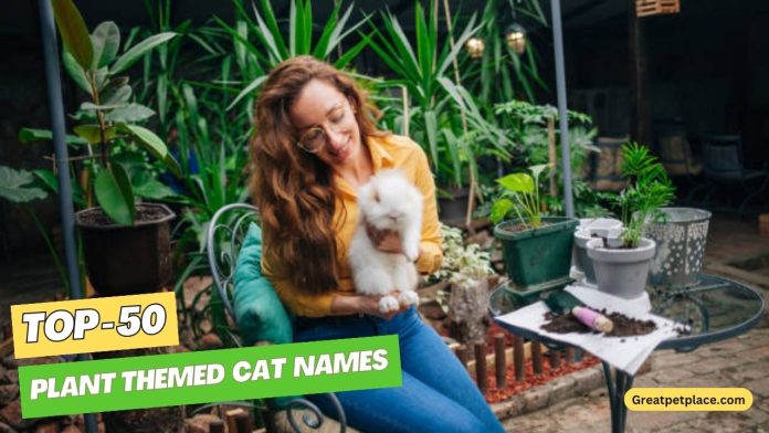 Plant-Themed-Cat-Names-–-Our-Top-50-Favorites
