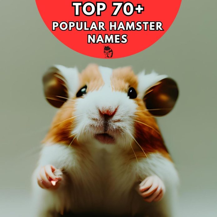 Popular-Hamster-Names