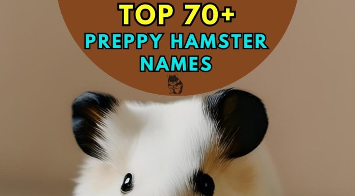 Preppy-Hamster-Names
