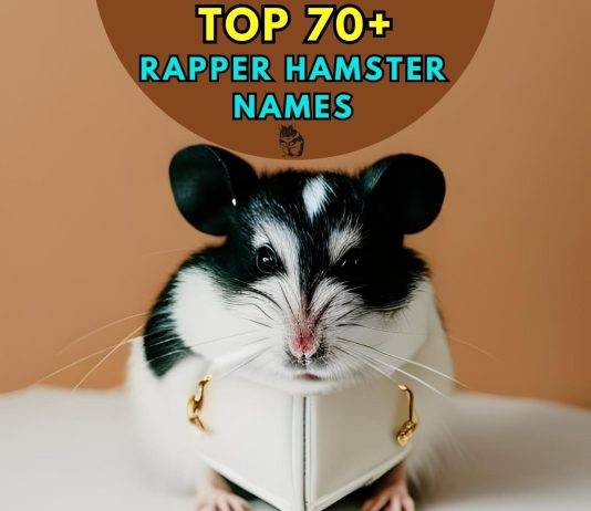 Rapper-Hamster-Names-