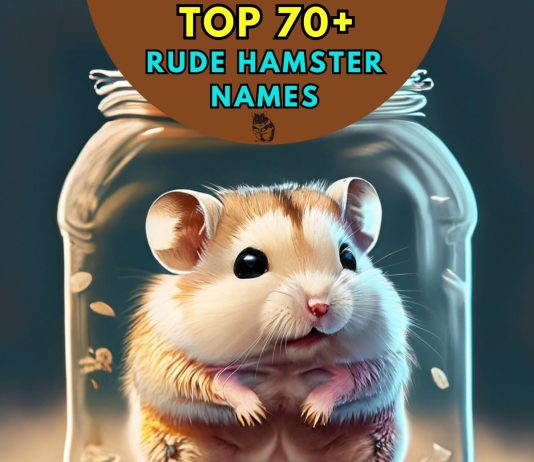 Rude-Hamster-Names