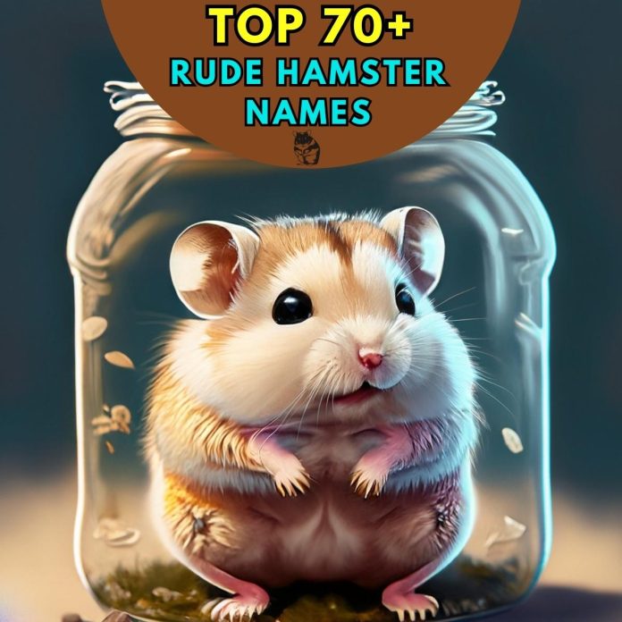Rude-Hamster-Names