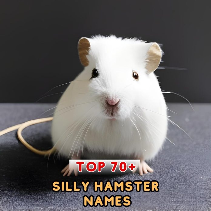 Silly-Hamster-Names