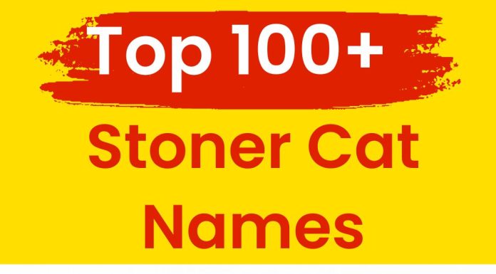 Stoner-Cat-Names-Our-Top-100-Favorites
