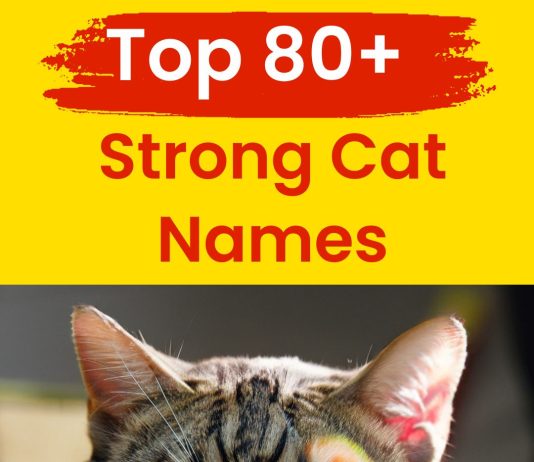 Strong-Cat-Names