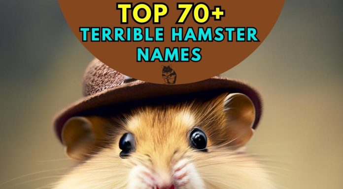 Terrible-Hamster-Names